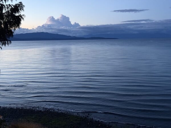 Wet Coast